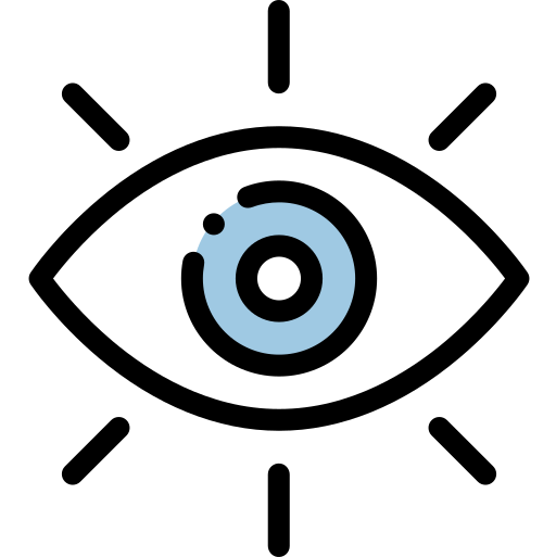vision icon
